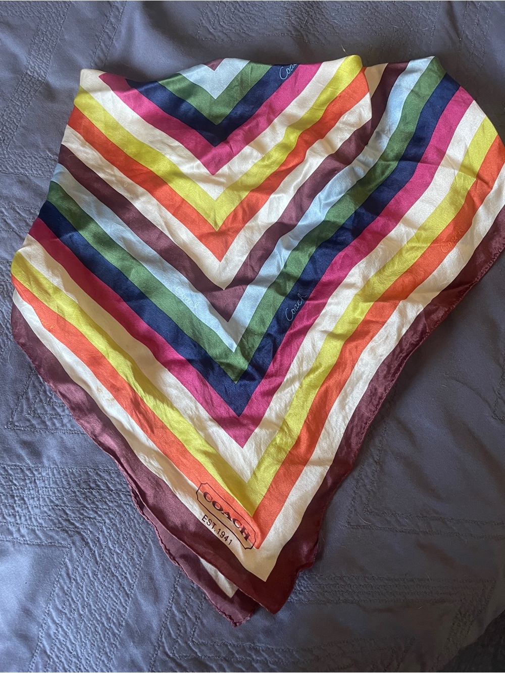 Coach Scarf